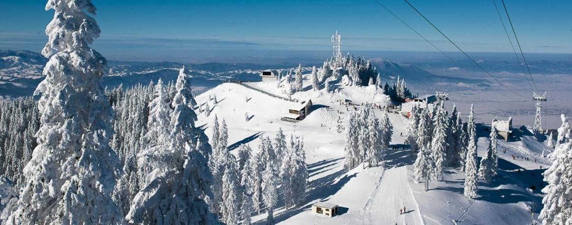 Panoramic Residence Zărneşti Bagian luar foto