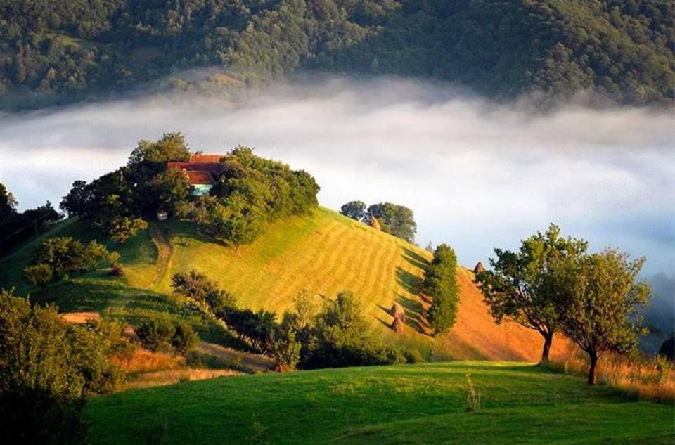 Panoramic Residence Zărneşti Bagian luar foto