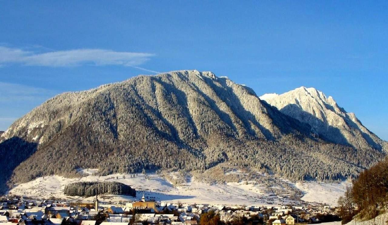 Panoramic Residence Zărneşti Bagian luar foto