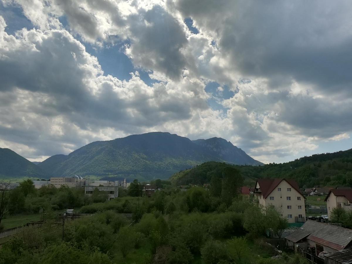 Panoramic Residence Zărneşti Bagian luar foto