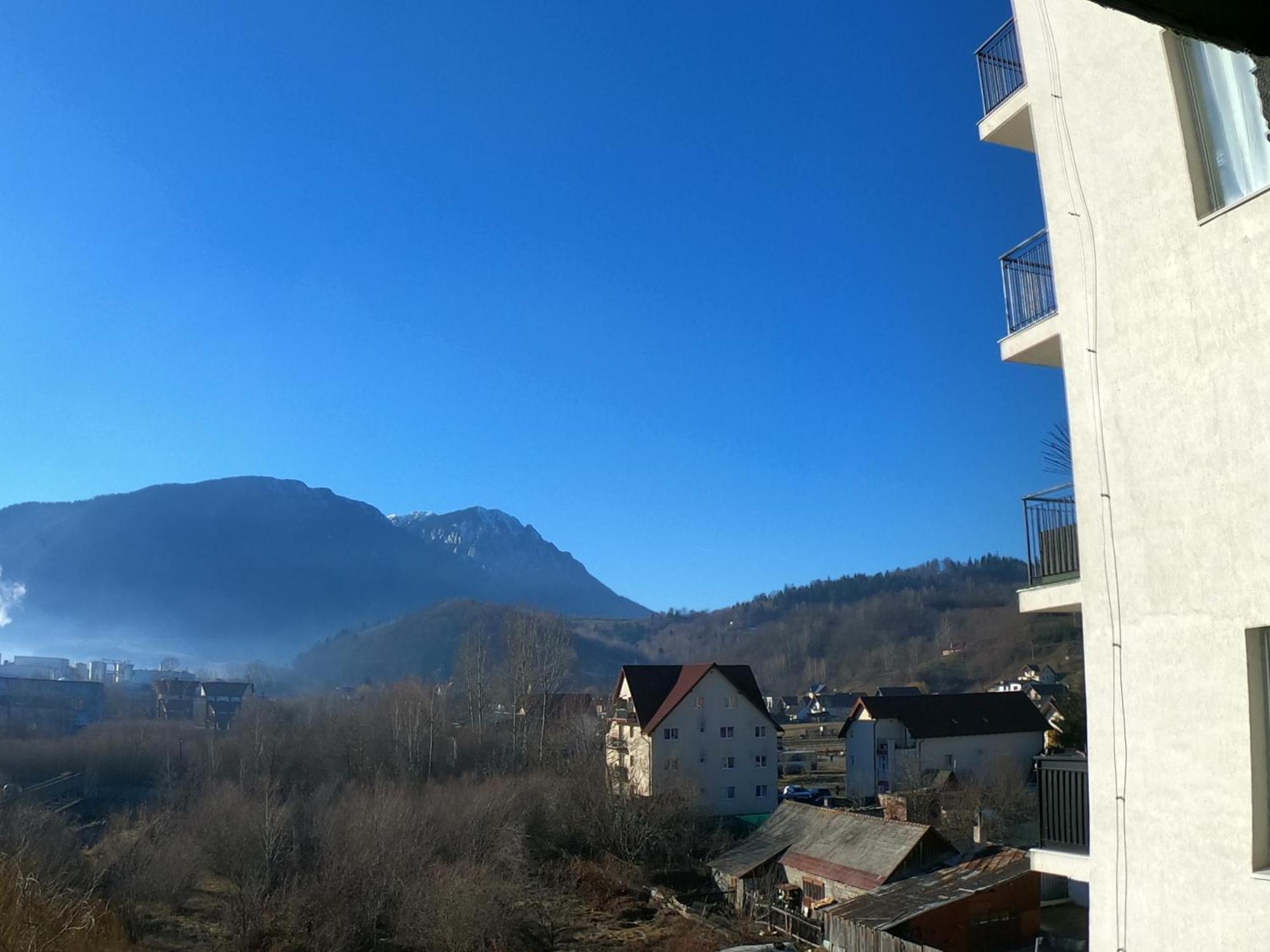 Panoramic Residence Zărneşti Bagian luar foto